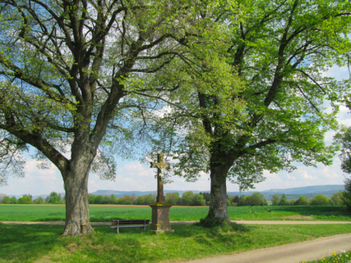 Bildschirmfoto 2024-06-03 um 07.06.08