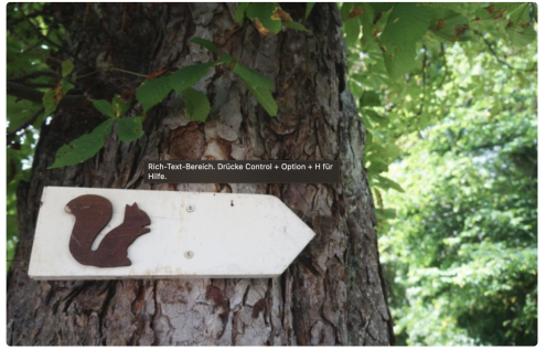 Bildschirmfoto 2024-09-29 um 19.49.26